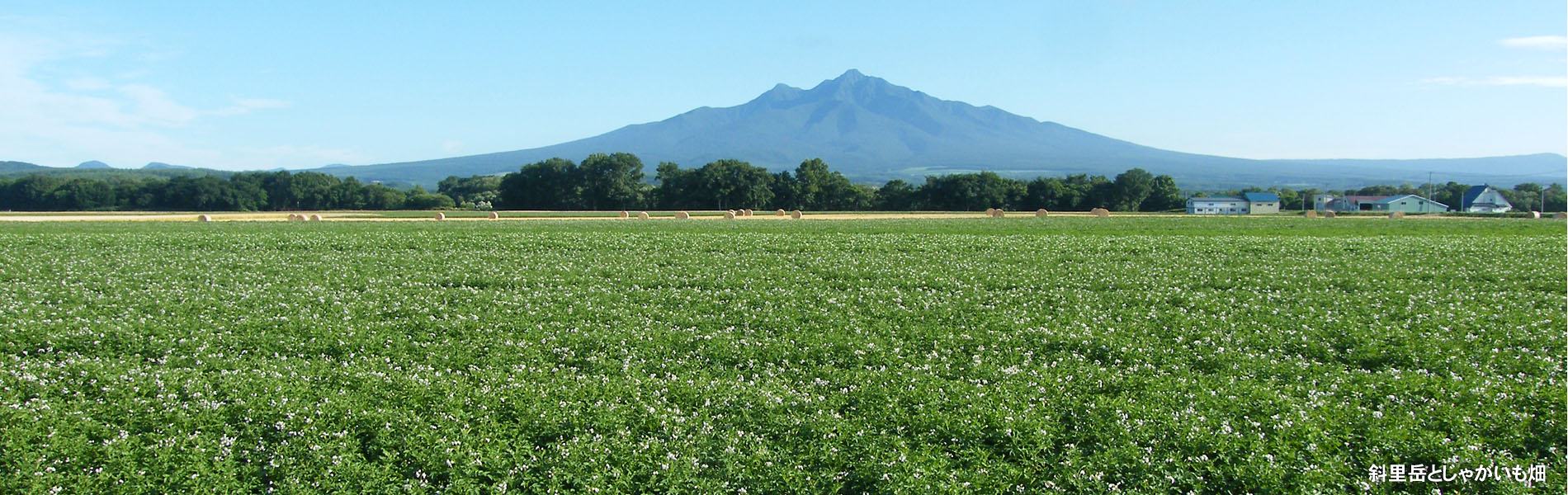 斜里岳とじゃがいも畑